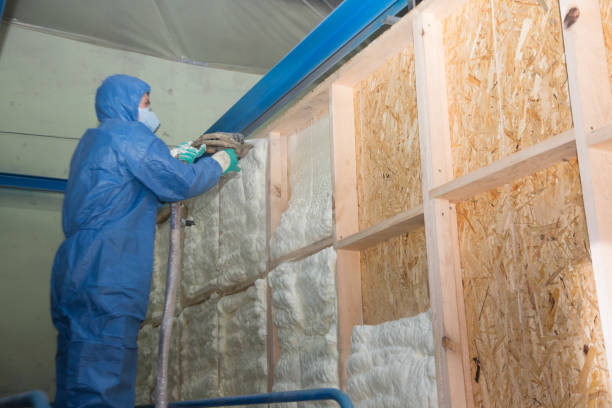 Best Home Insulation Services  in Canton, PA