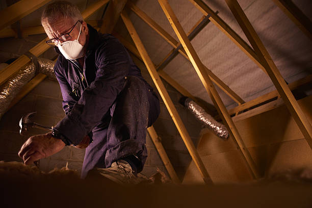 Best Insulation Contractor Near Me  in Canton, PA